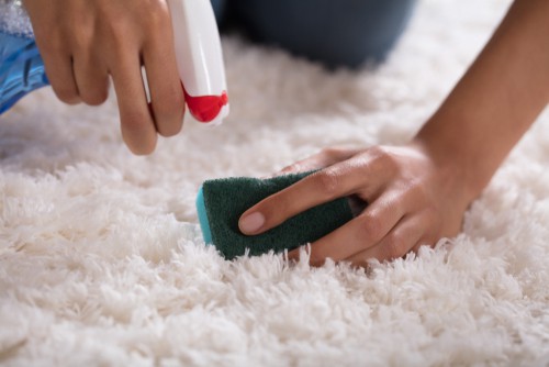Clean the carpet stains immediately