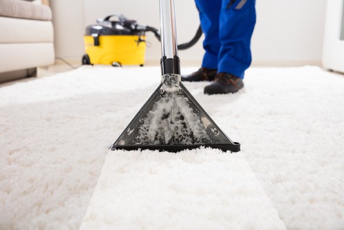 necessity-of-carpet-cleaning
