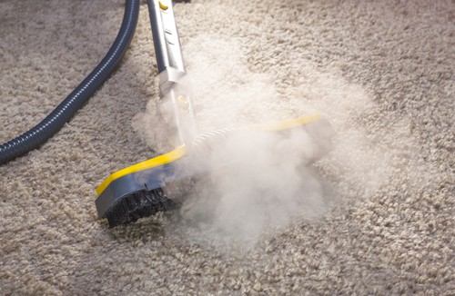 what-is-green-carpet-cleaning