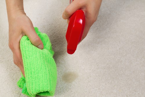 7 DIY Carpet Cleaning Mistakes To Avoid