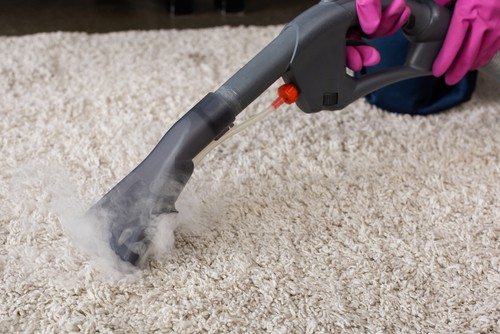 Deep Cleaning Carpets in a Pet-Friendly Home