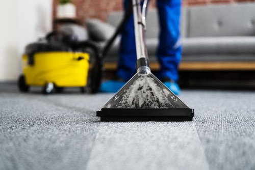 Why Hire Professional Carpet Cleaning Services